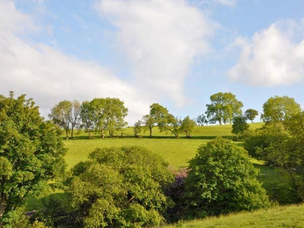 Hendre Aled Cottage 1 Llansannan Exteriör bild